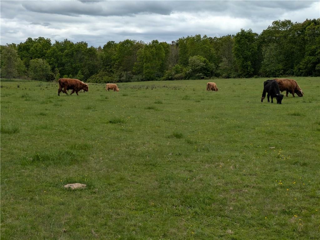 Property Photo: 0 Boswell Trail RI 02825