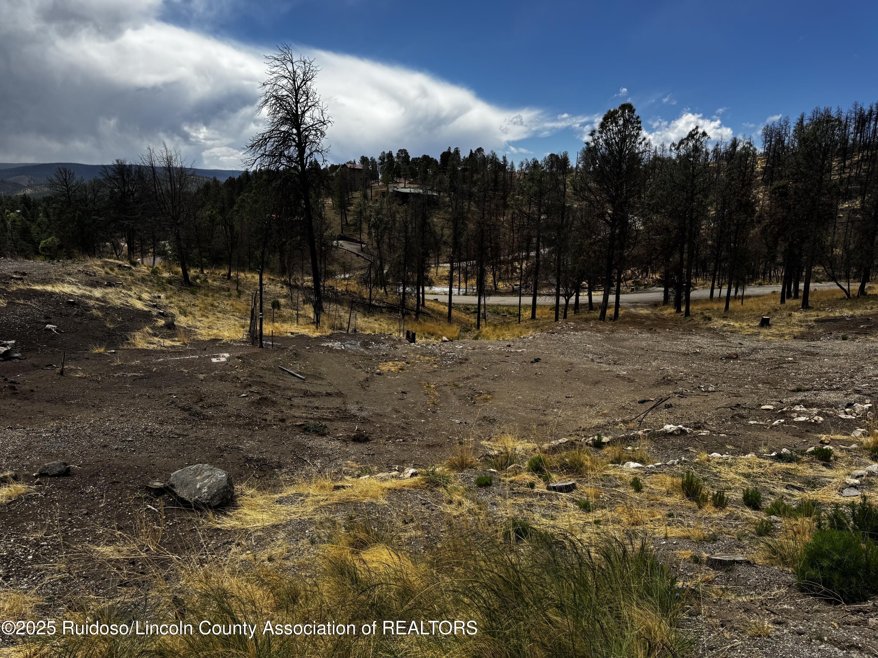 Property Photo:  102 Kaibab Drive  NM 88345 