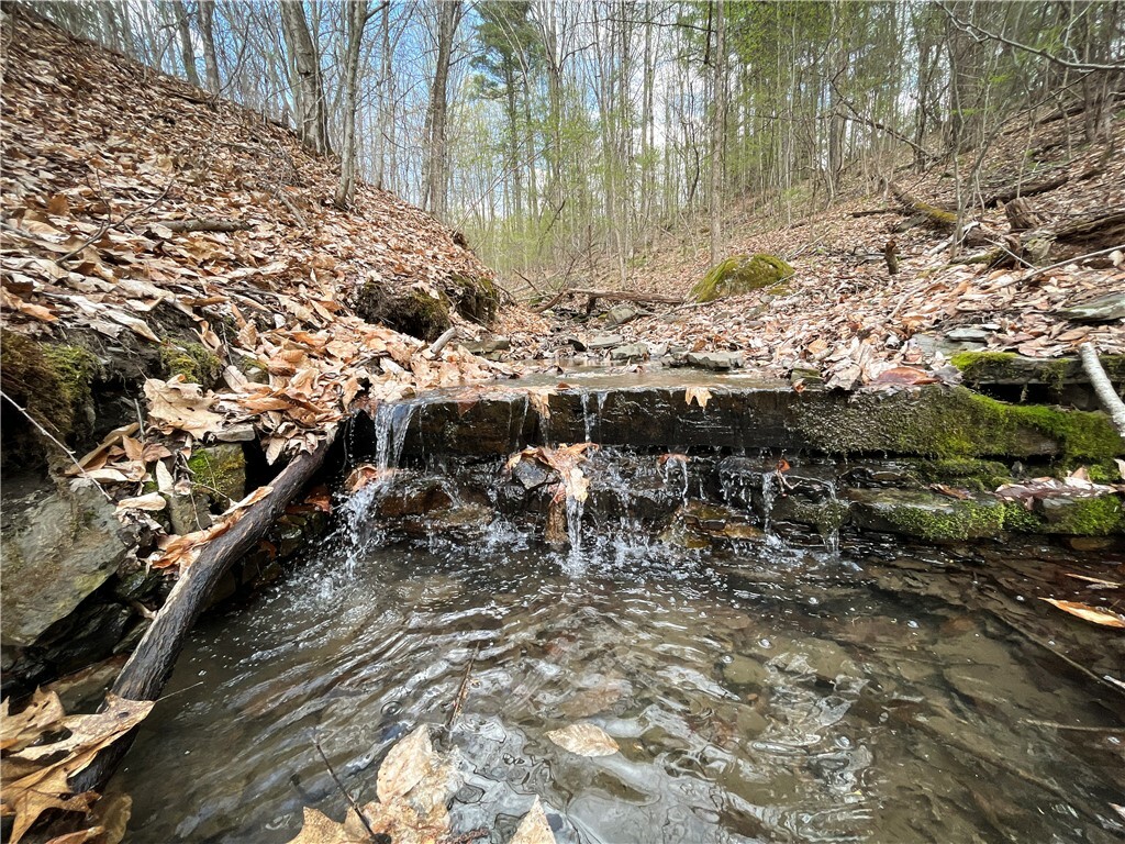 Property Photo: W Creek Road NY 13835
