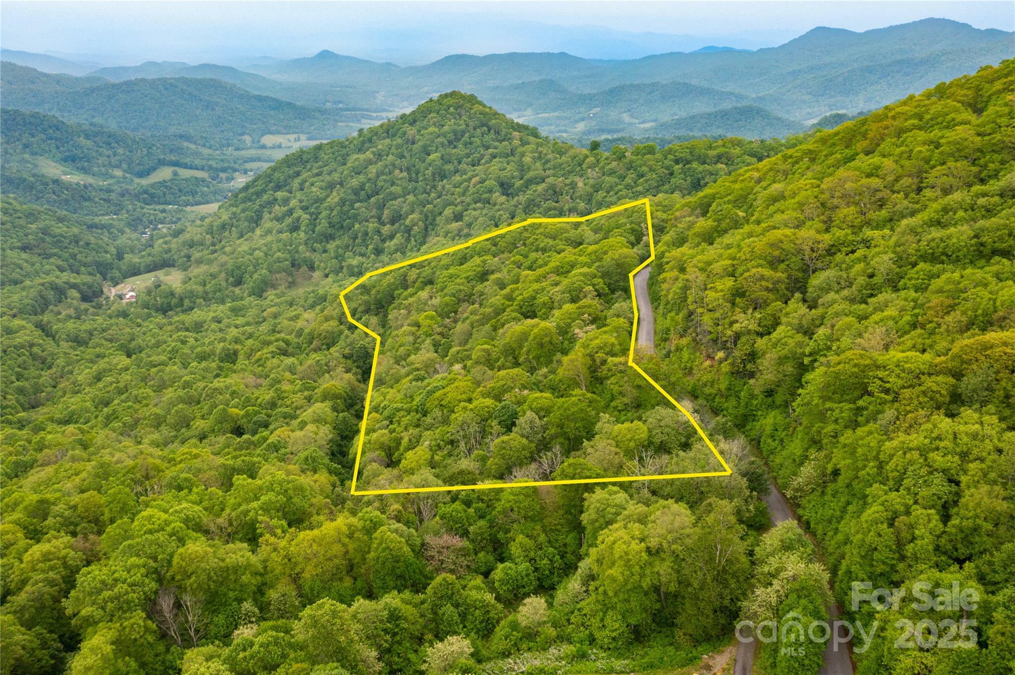 Property Photo: 999 Mount Soma Boulevard NC 28721