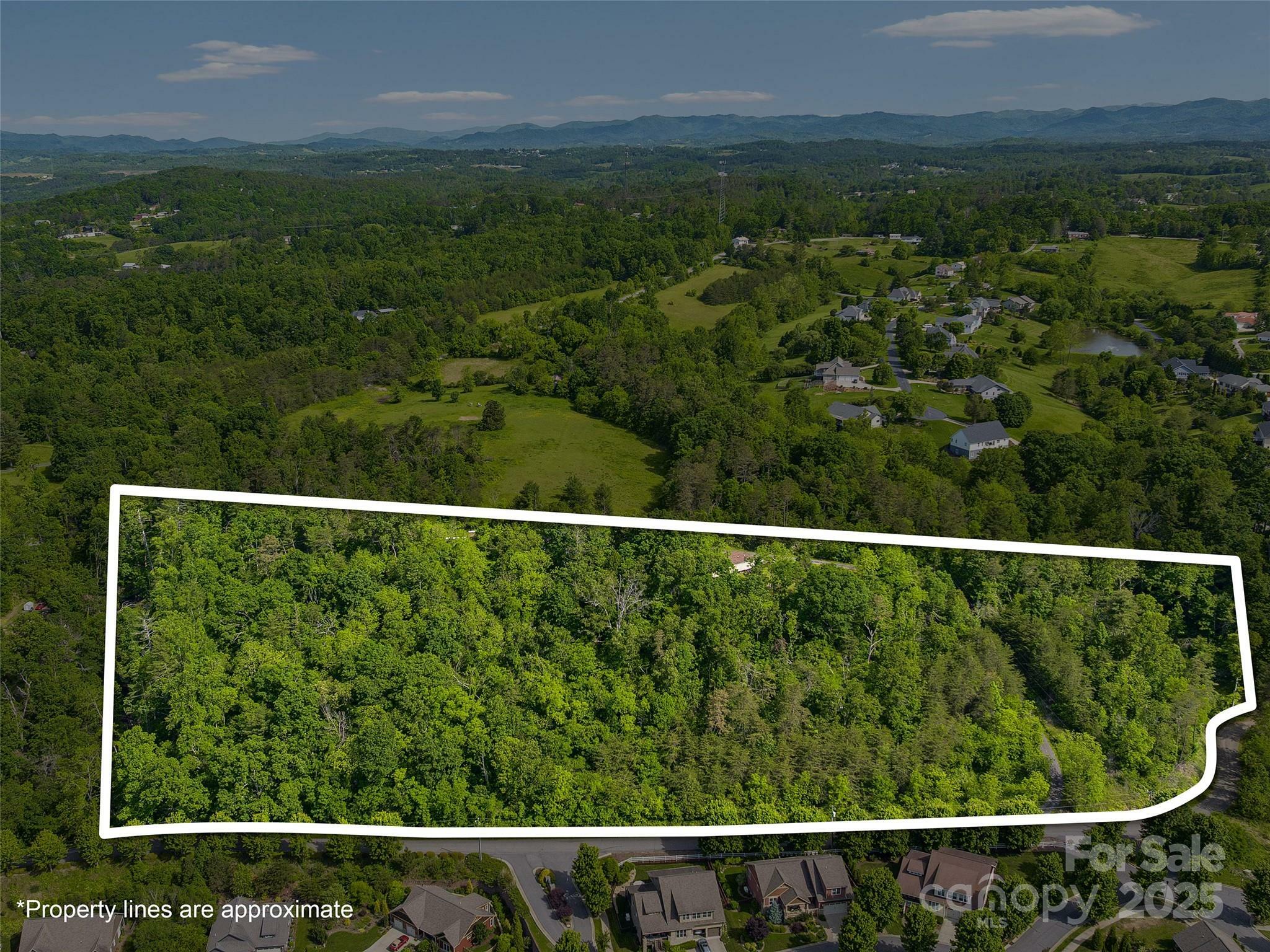 144 Pinebrook Road  Asheville NC 28804 photo