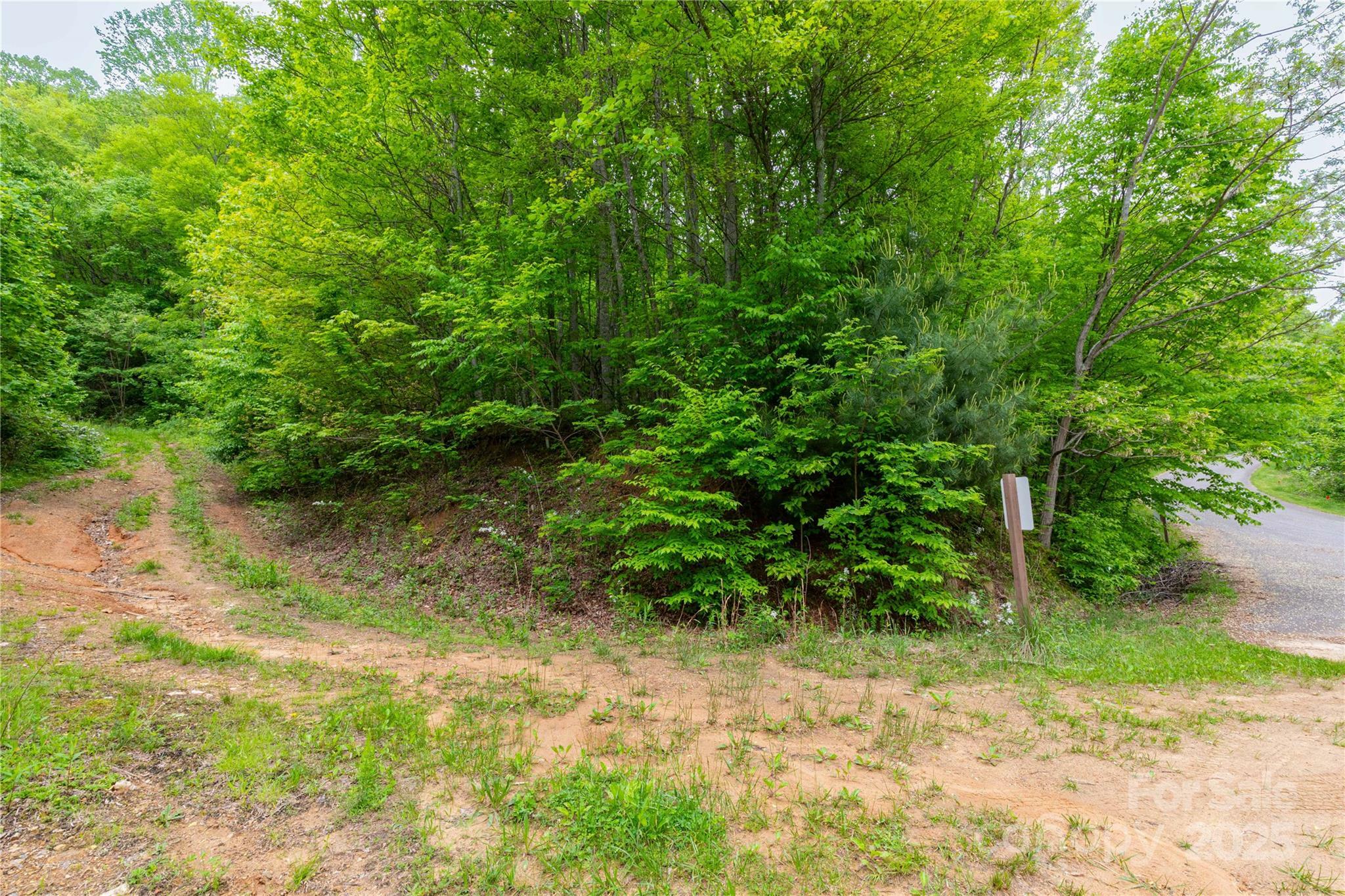 129 Mount Soma Boulevard  Clyde NC 28721 photo