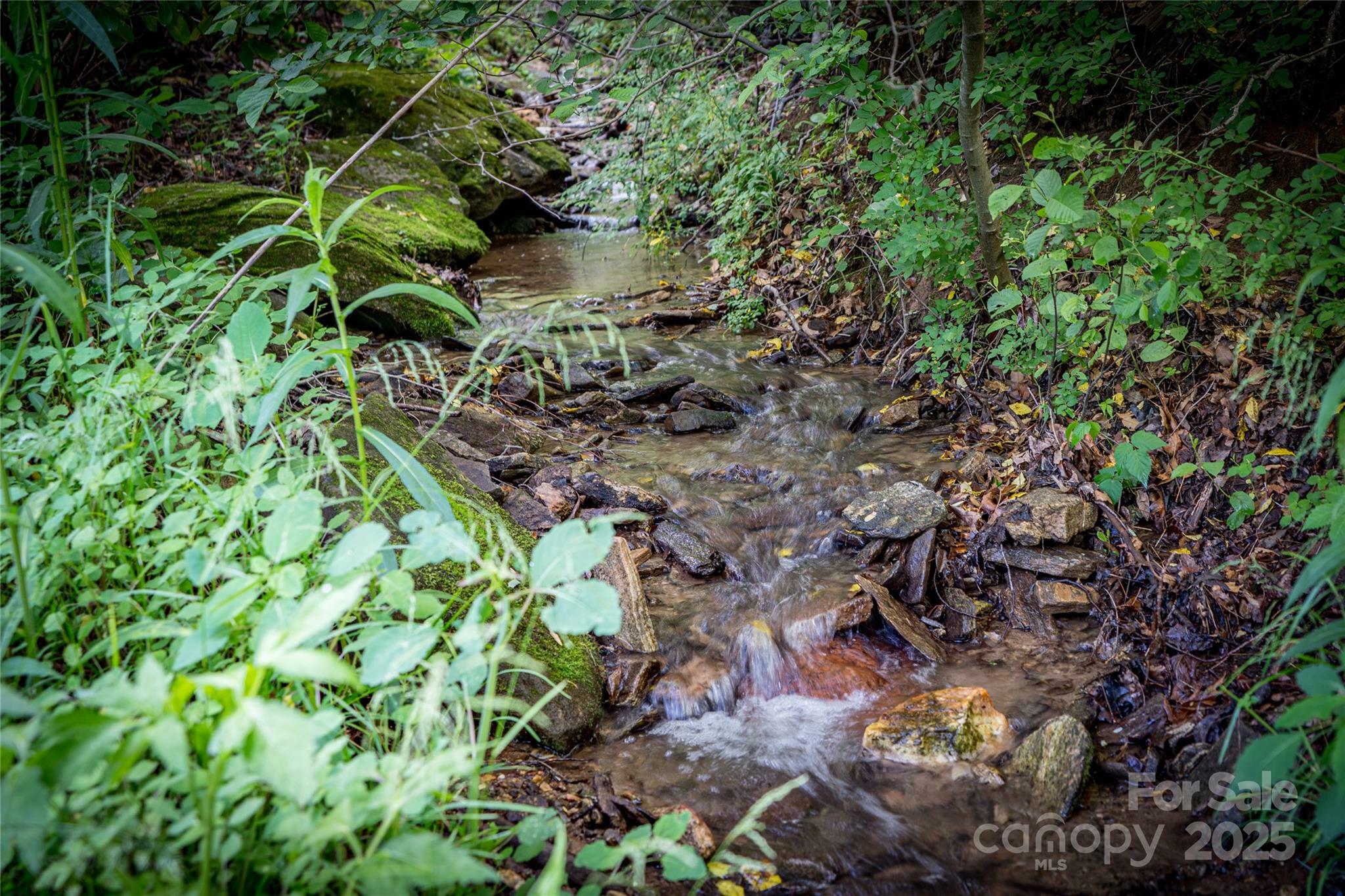 Property Photo: 86 Sweet Birch Drive NC 28751