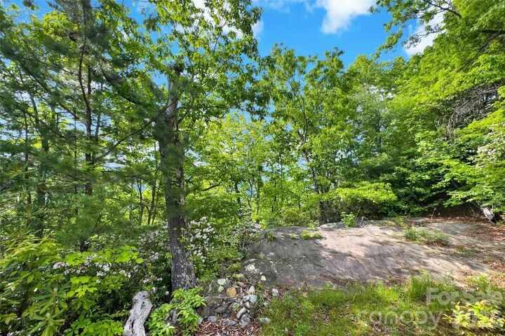 Property Photo:  42 Parkway Drive  NC 28752 