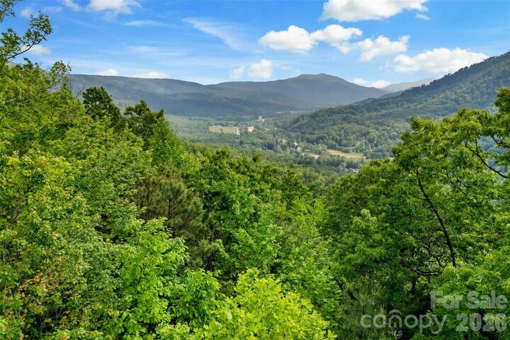 Property Photo:  42 Parkway Drive  NC 28752 