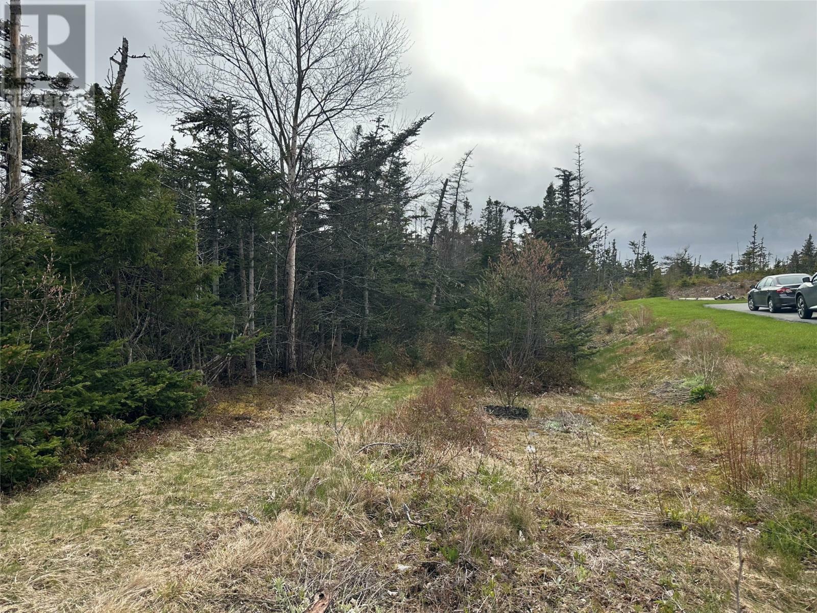 Property Photo:  138 - 146 Conception Bay Highway  NL A0A 2R0 