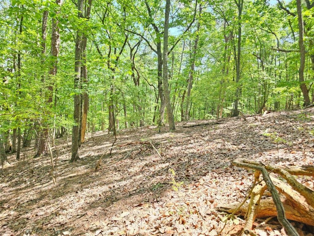 Property Photo: 0 Turnbury Lane GA 30143