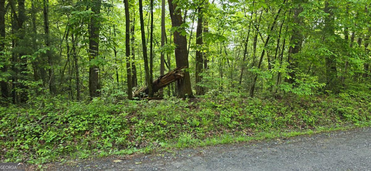 Property Photo: Lot 3760 Graham Court GA 30540
