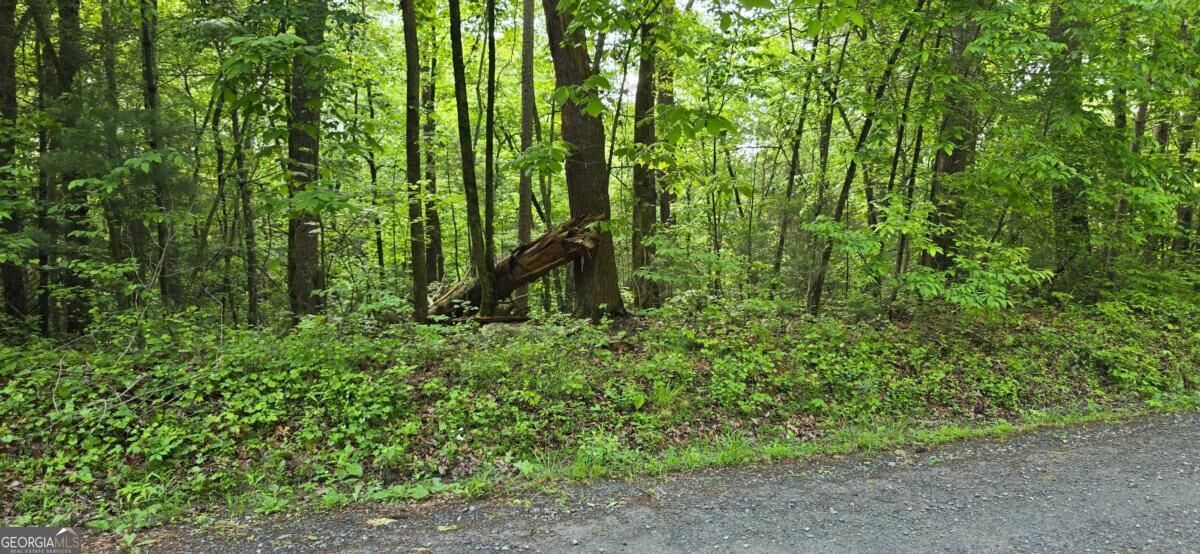 Property Photo: Lot 3760 Graham Court GA 30540