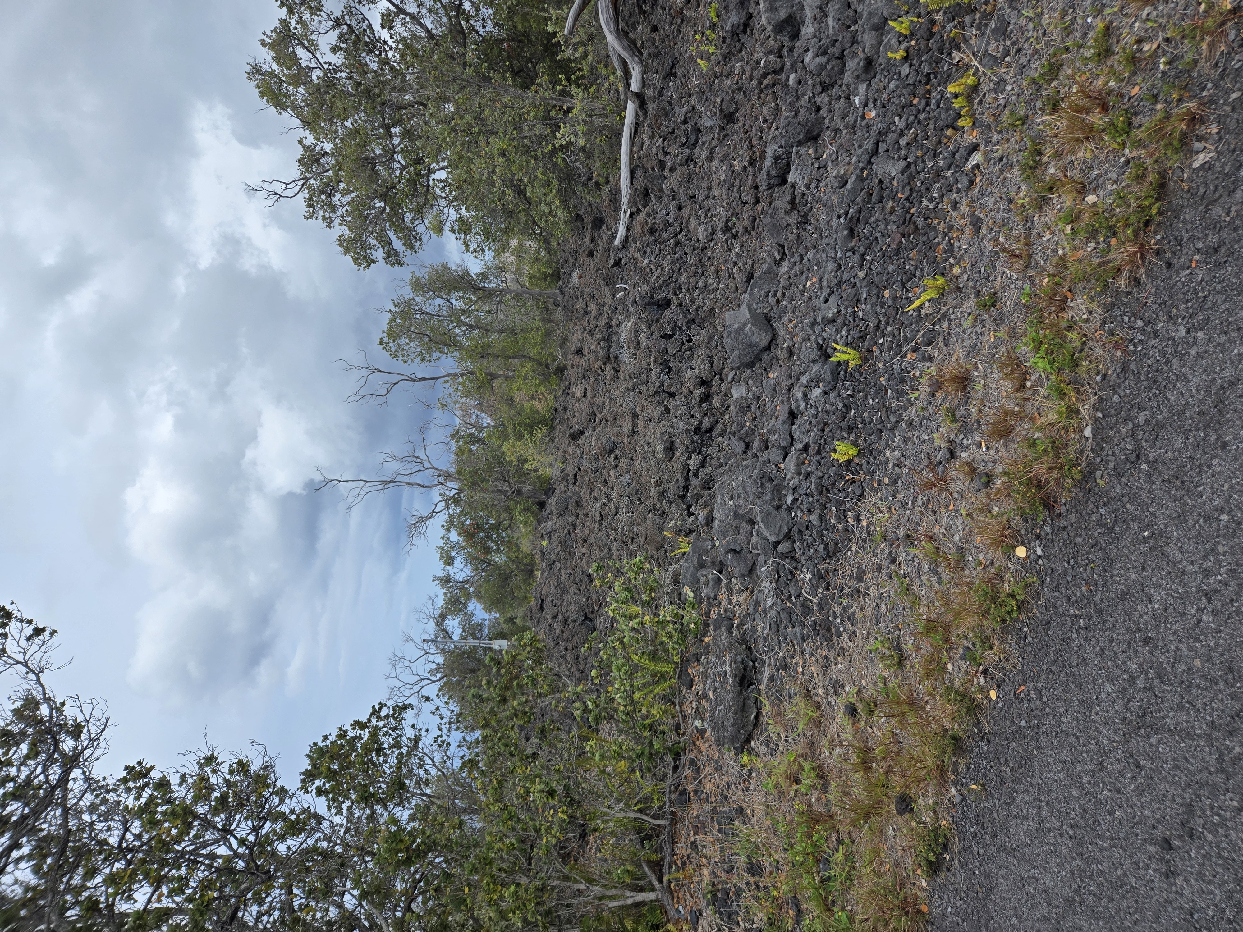 Property Photo:  Paradise Pkwy  HI 96737 