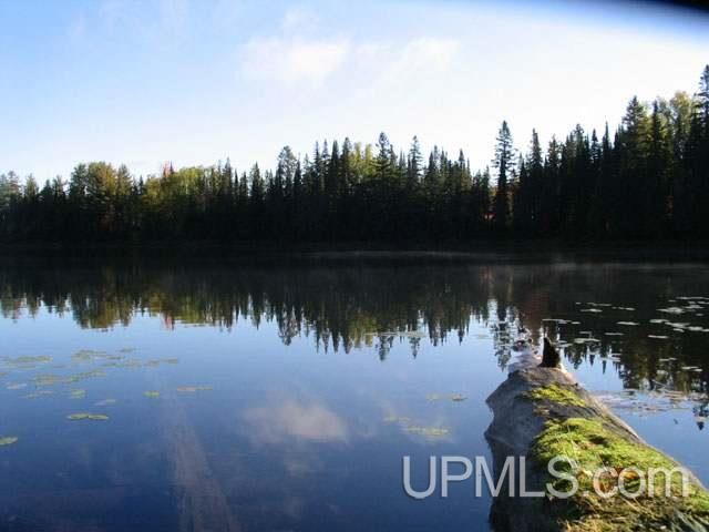 Property Photo:  2 Acres Sucker Lake Road  MI 49969 
