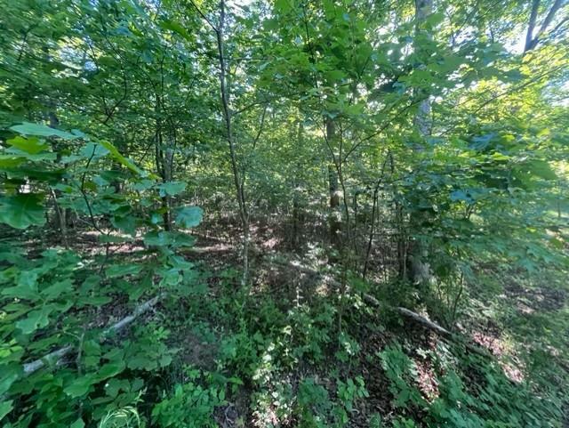 Property Photo: 1045 Erie Trail MO 63775