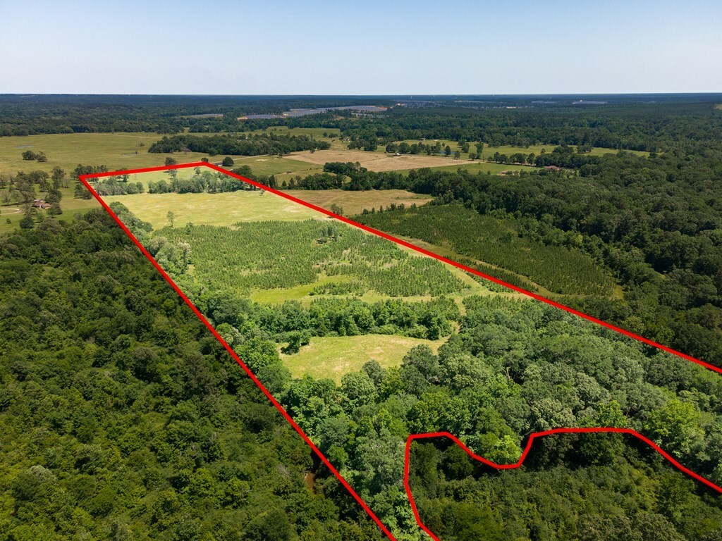 Property Photo:  R13687 Cheeseland Road  TX 75969 