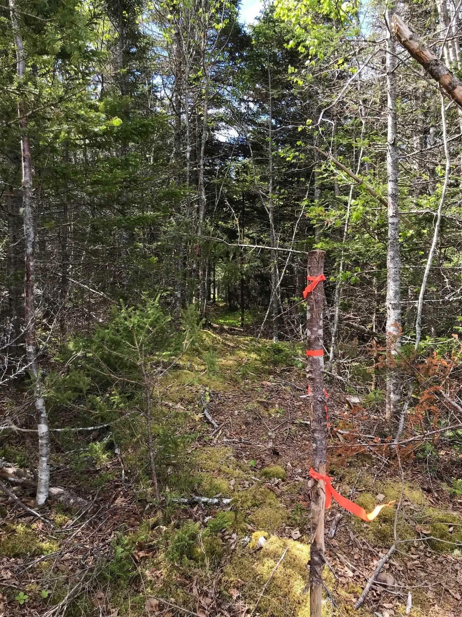 Photo de la propriété:  No. 7 Highway  NS B0H 2G0 