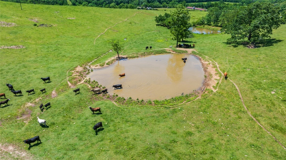 Property Photo: 16638 Hazel Valley Road AR 72701