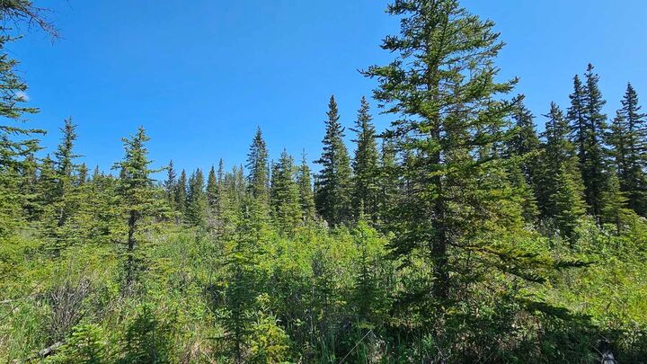Property Photo: 34364 Range Road 42 12 AB T0M 1X0
