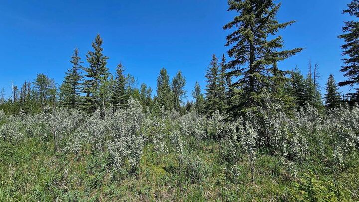 Property Photo: 34364 Range Road 42 20 AB T0M 1X0