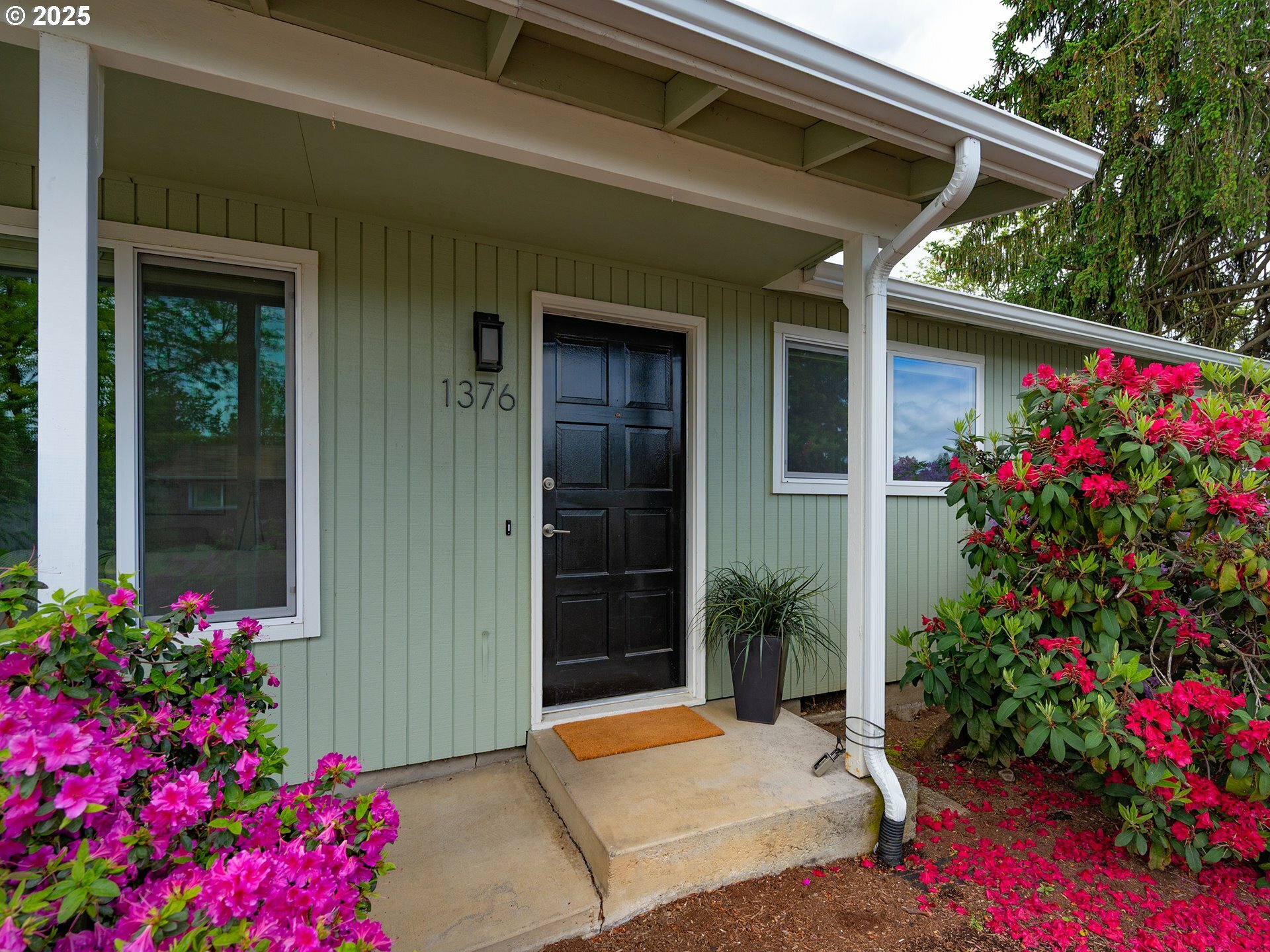 Property Photo: 1376 Buck St OR 97402