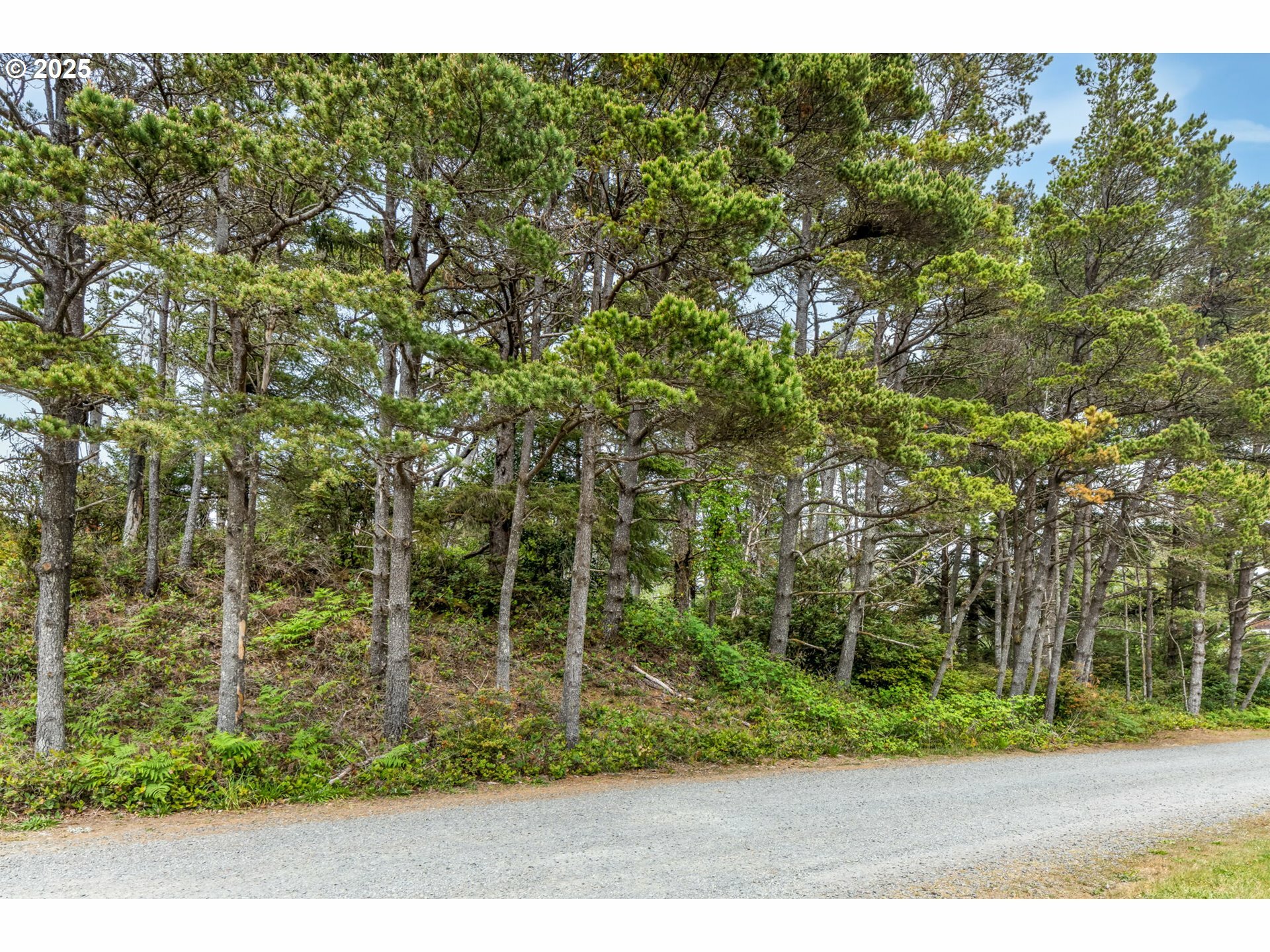 Property Photo: Pelican Ln OR 97130