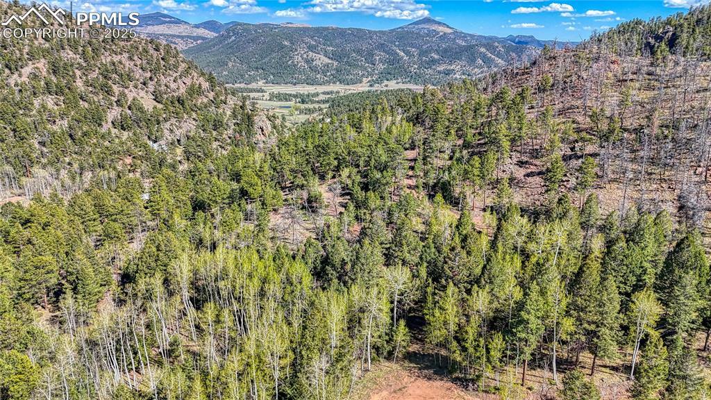 Property Photo: 56 Fir Lane CO 80816