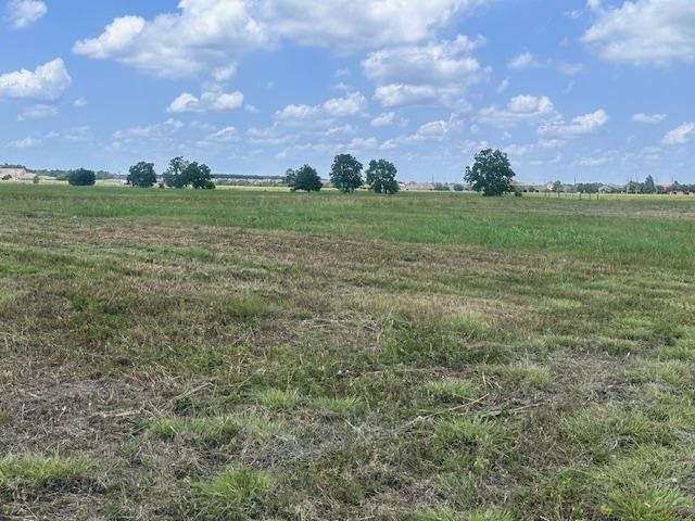 Property Photo:  3630 Wakefield Lane  TX 77713 