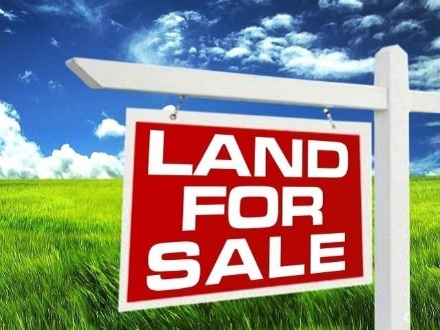 Property Photo:  3635 Trenton Lane  TX 77706 