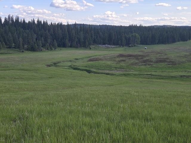 Property Photo: 5266 Wagner Rd WA 99173