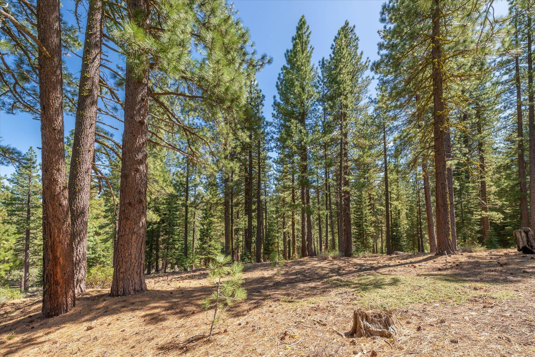 Property Photo: 12721 Granite Drive CA 96161