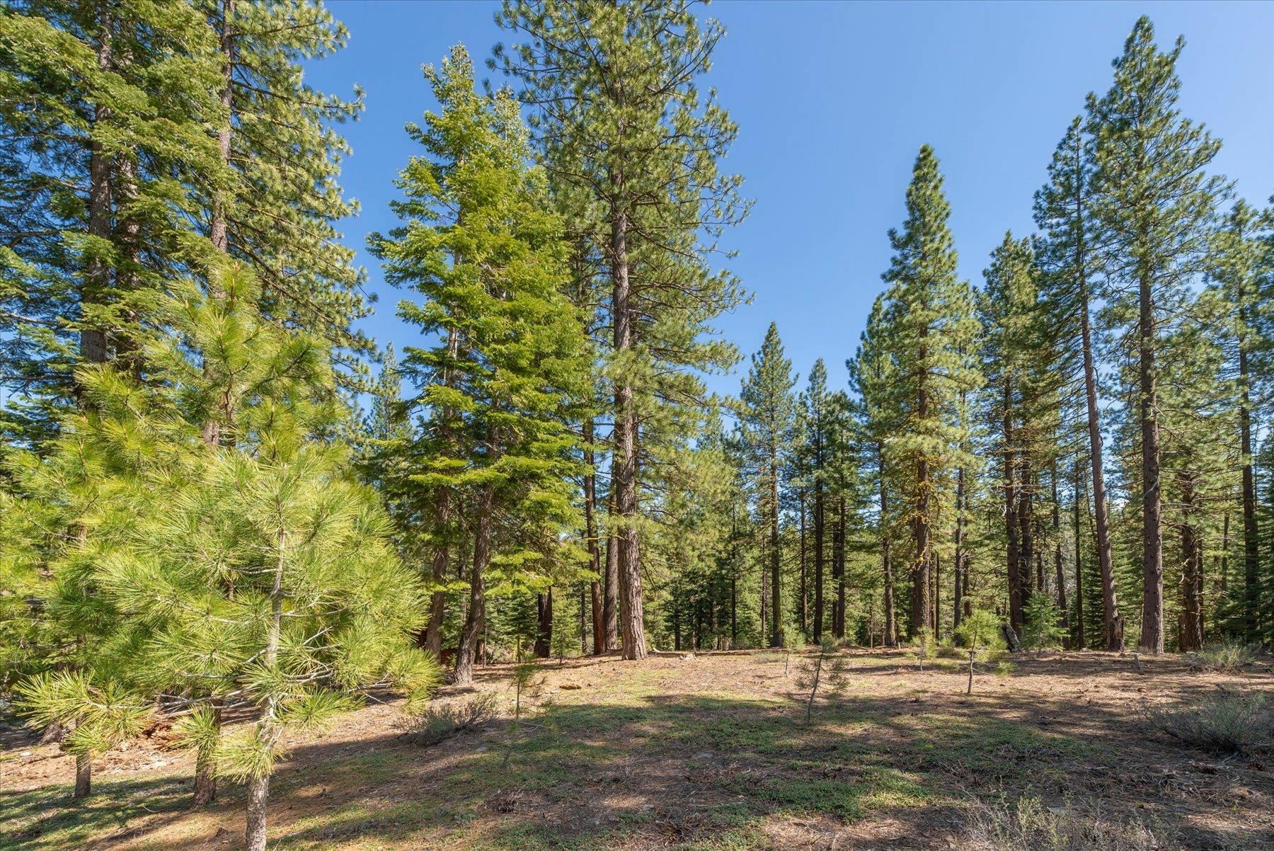 Property Photo:  12721 Granite Drive  CA 96161 