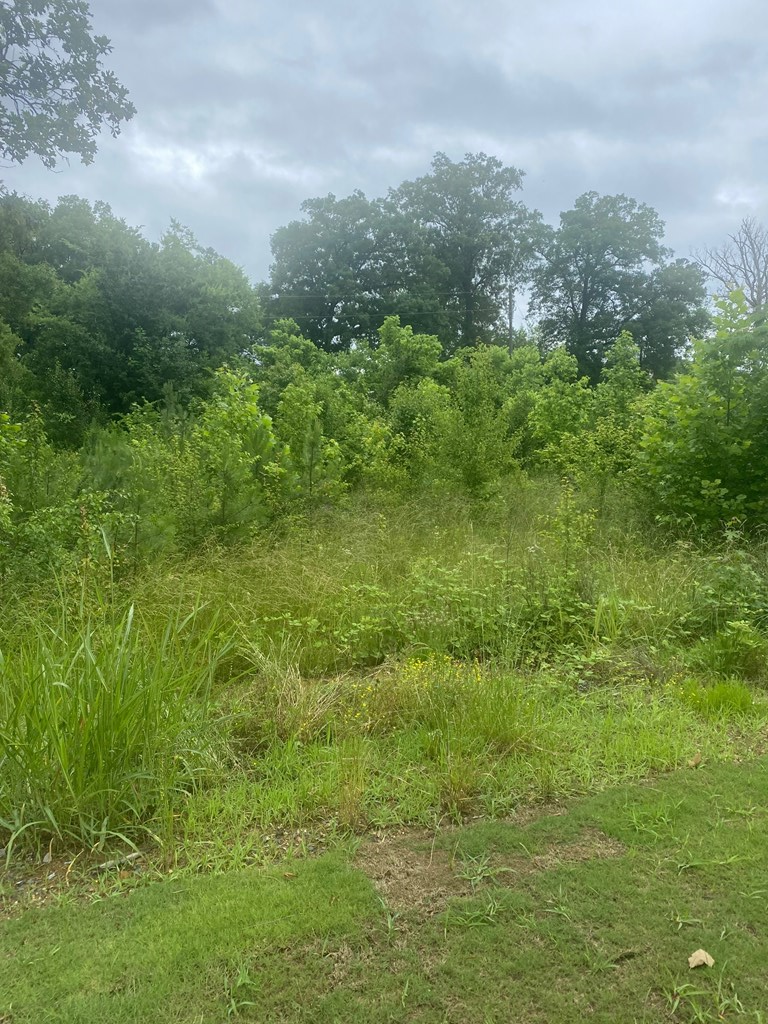 Property Photo: 2318 Cleveland Hwy GA 30721