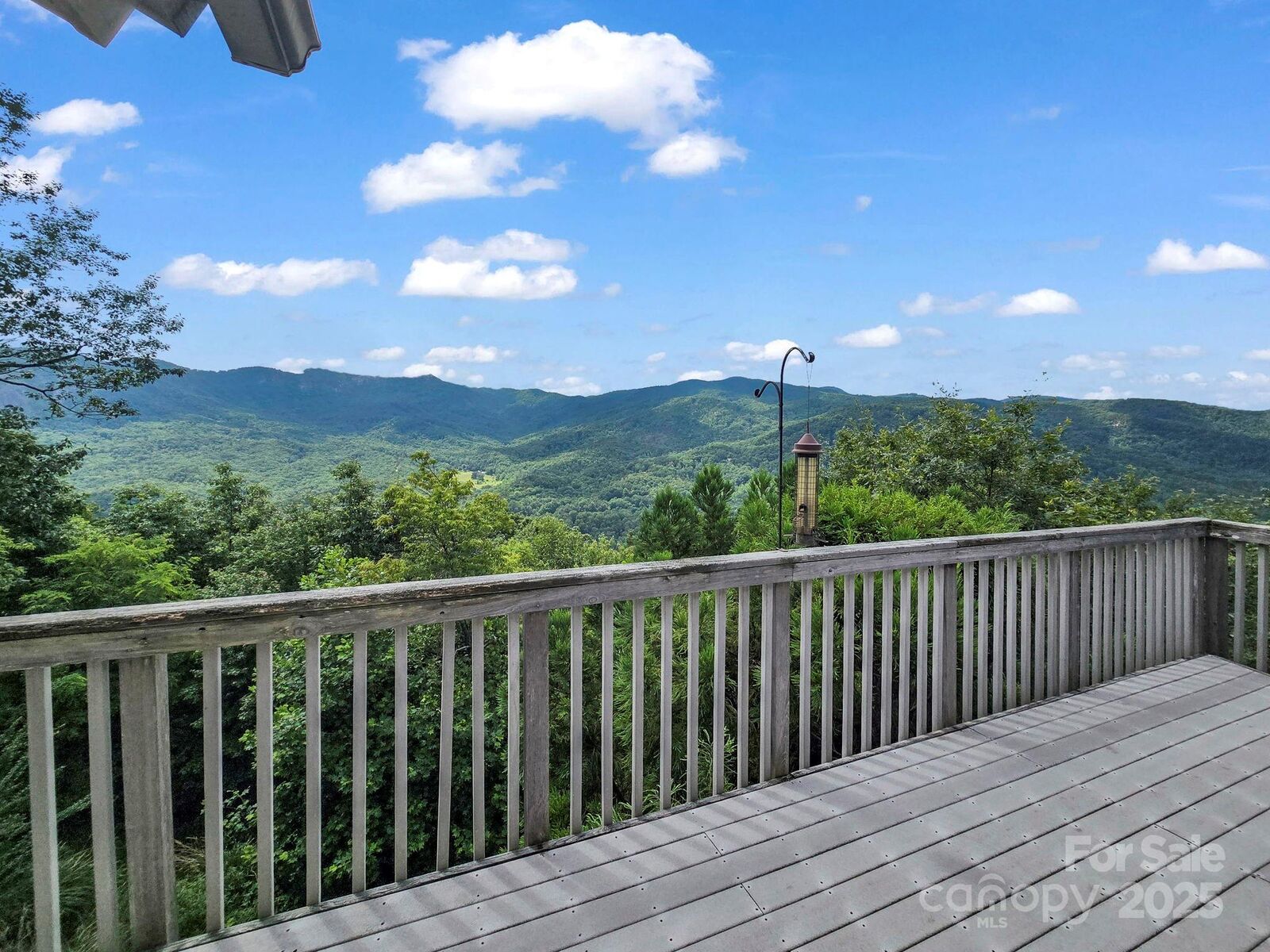 Property Photo:  698 Youngs Mountain Drive  NC 28746