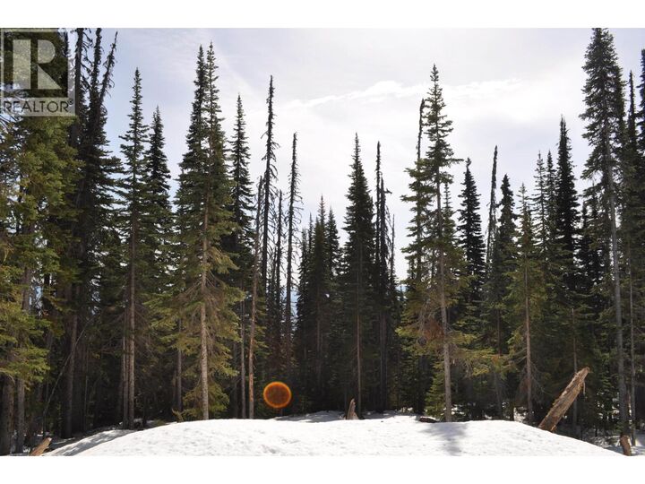 Property Photo:  Lt 11 Alpine Way Pr. St  BC V0J 2N0 