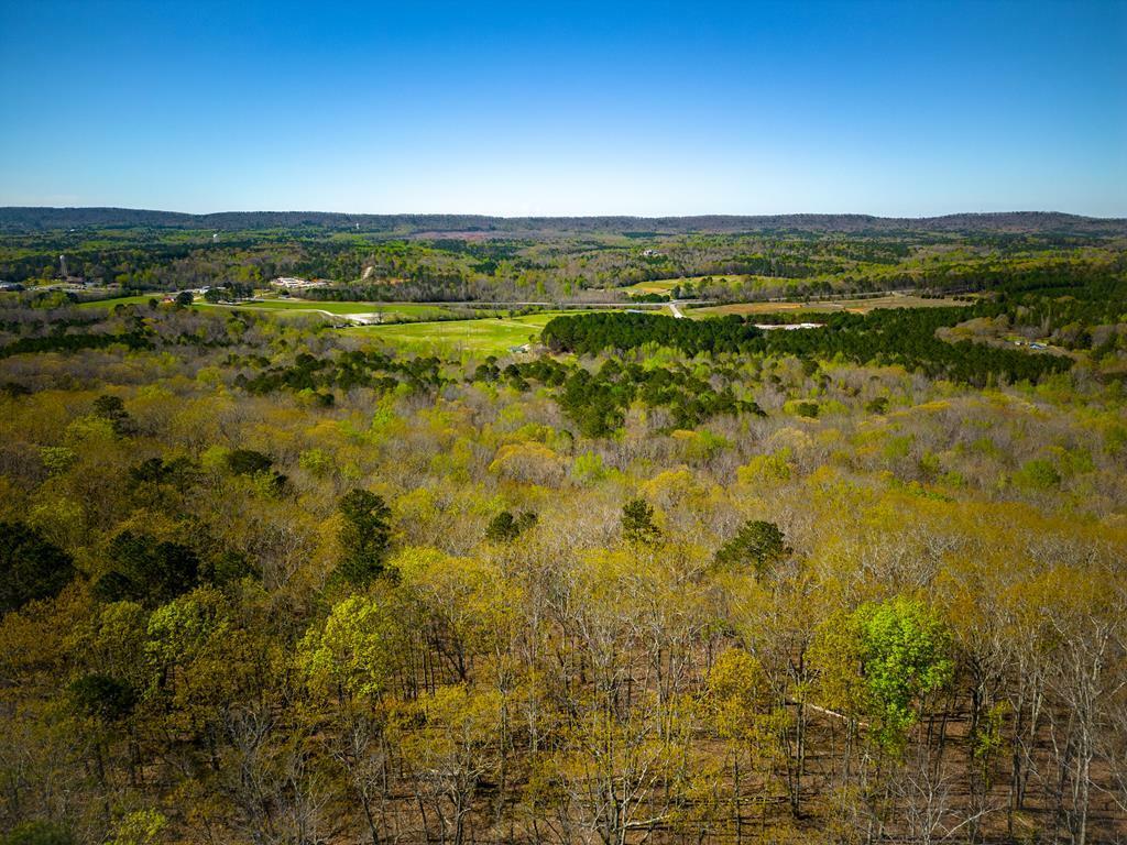 Property Photo:  27.2 Ac Barnes Mill Road  GA 31811 