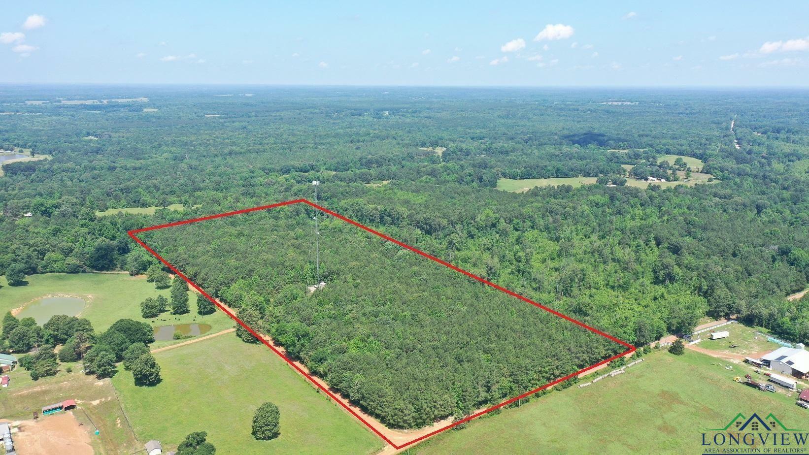 Property Photo: Tbd County Road 2617 TX 75563