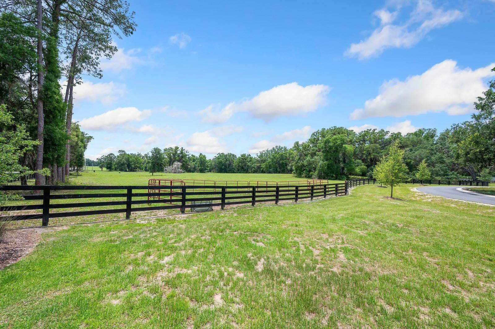Property Photo: 241 FL 32669