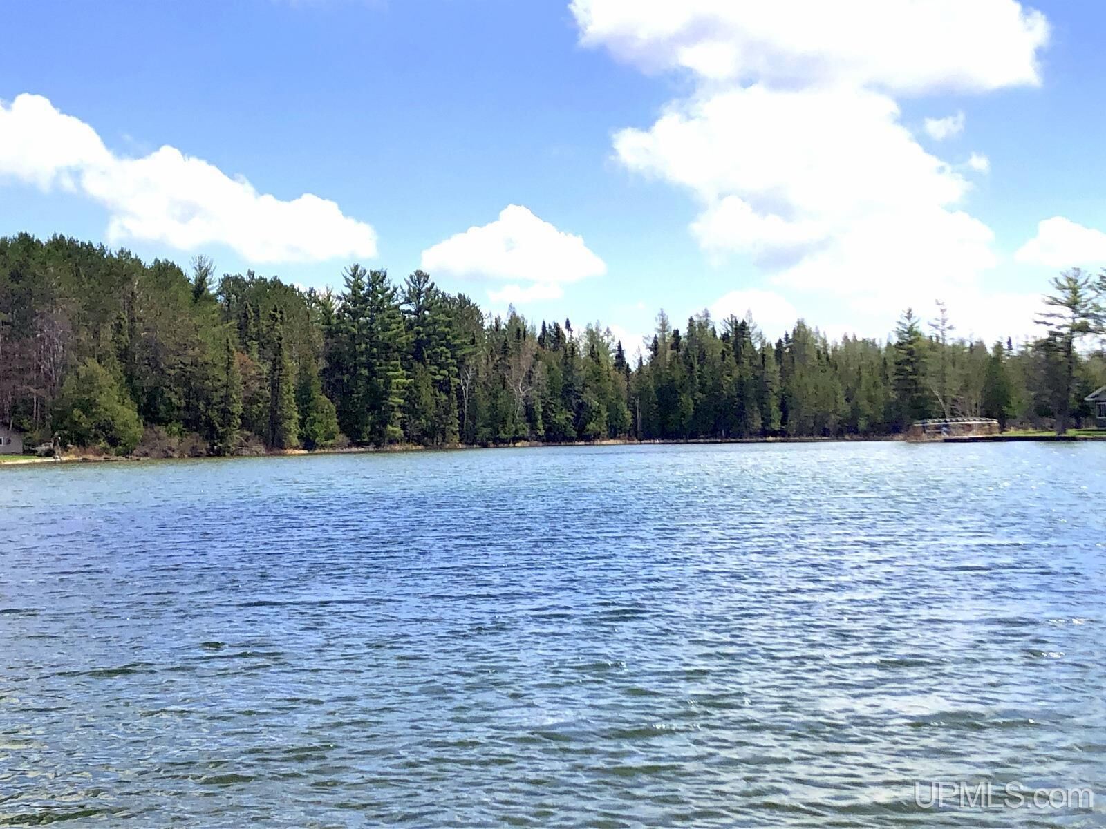 Property Photo:  353 S Johnson Lake Drive  MI 49841 