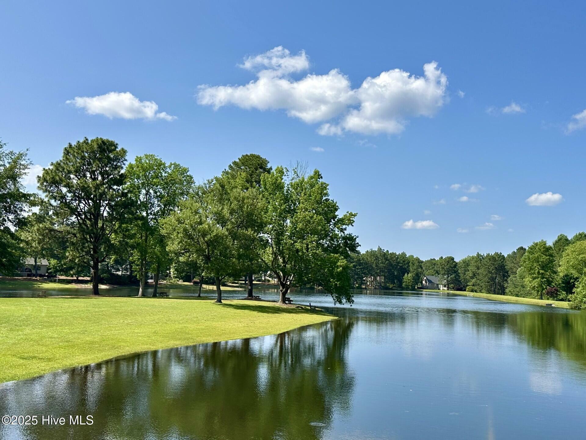 Property Photo: 129 Shagbark Court NC 27376