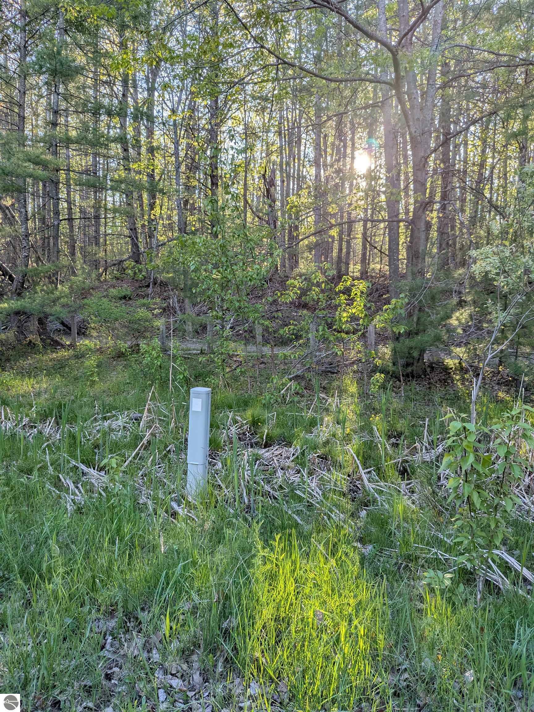 Property Photo: 512 S Grandview Beach Road MI 49749