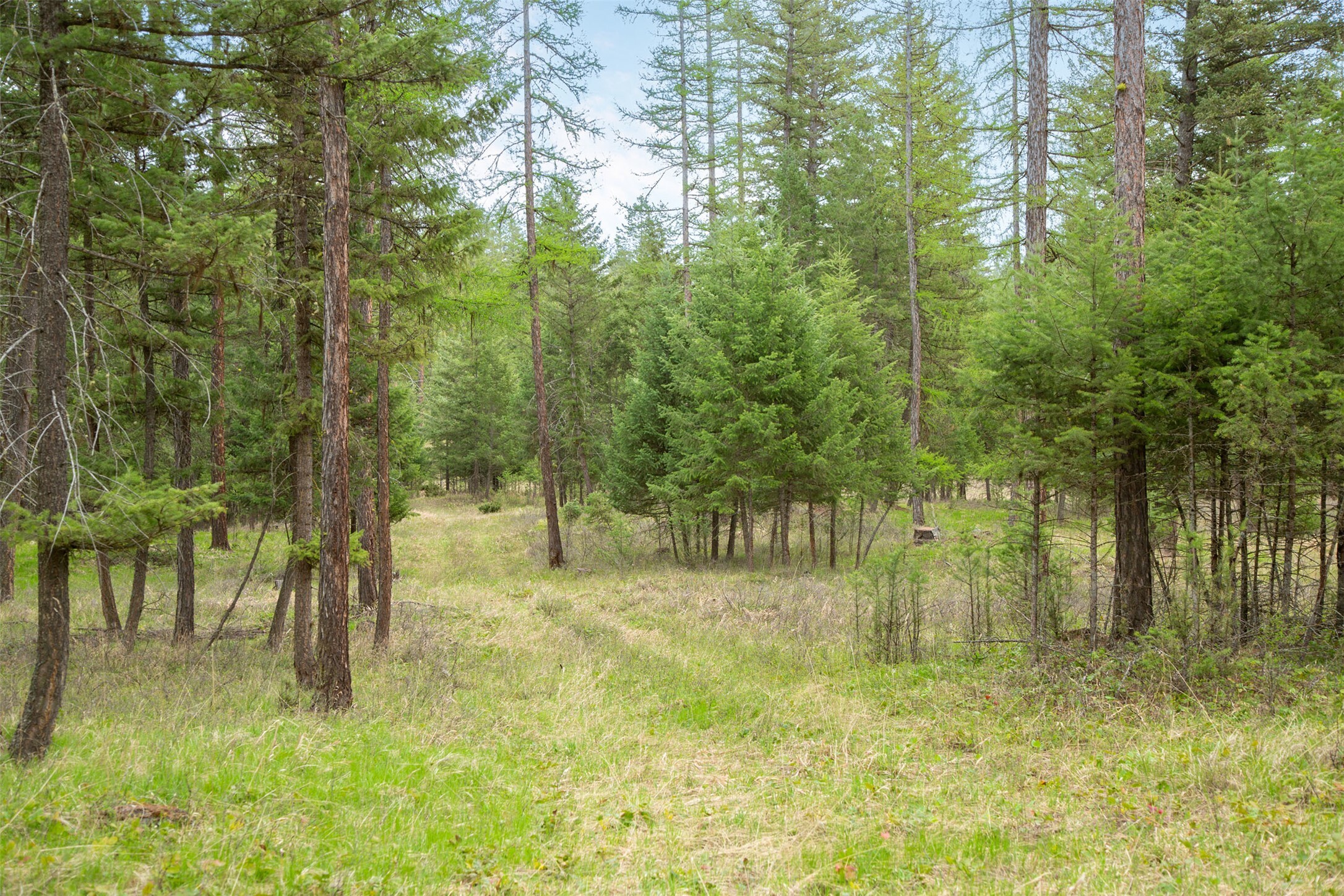 Nhn Bowdish Road  Kalispell MT 59901 photo