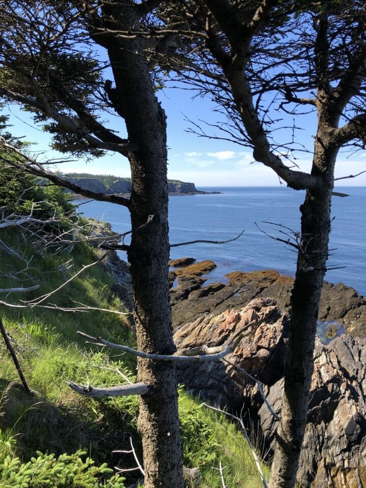 Property Photo:  Lot 1A Pepperrell Road  NS B5A 5B4 