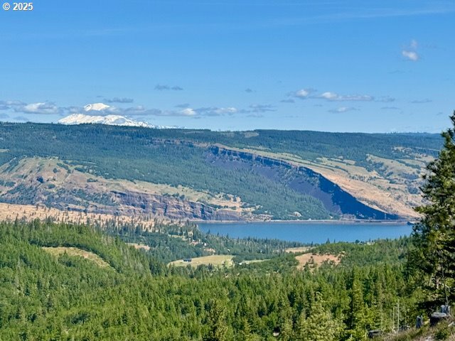 Huskey Rd  Mosier OR 97040 photo