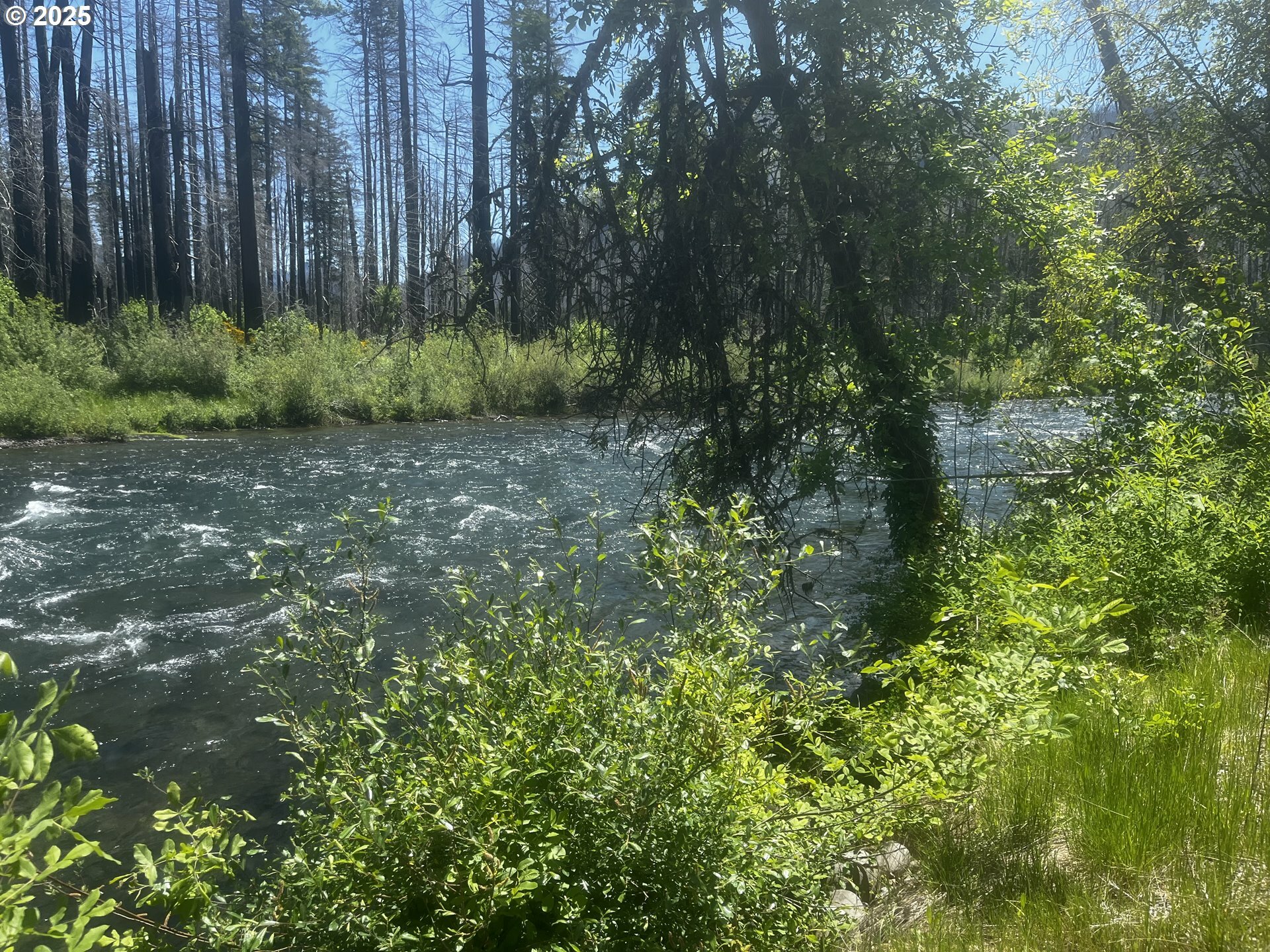 Property Photo: 52984 McKenzie Hwy OR 97413