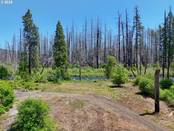 Property Photo:  52984 McKenzie Hwy  OR 97413 