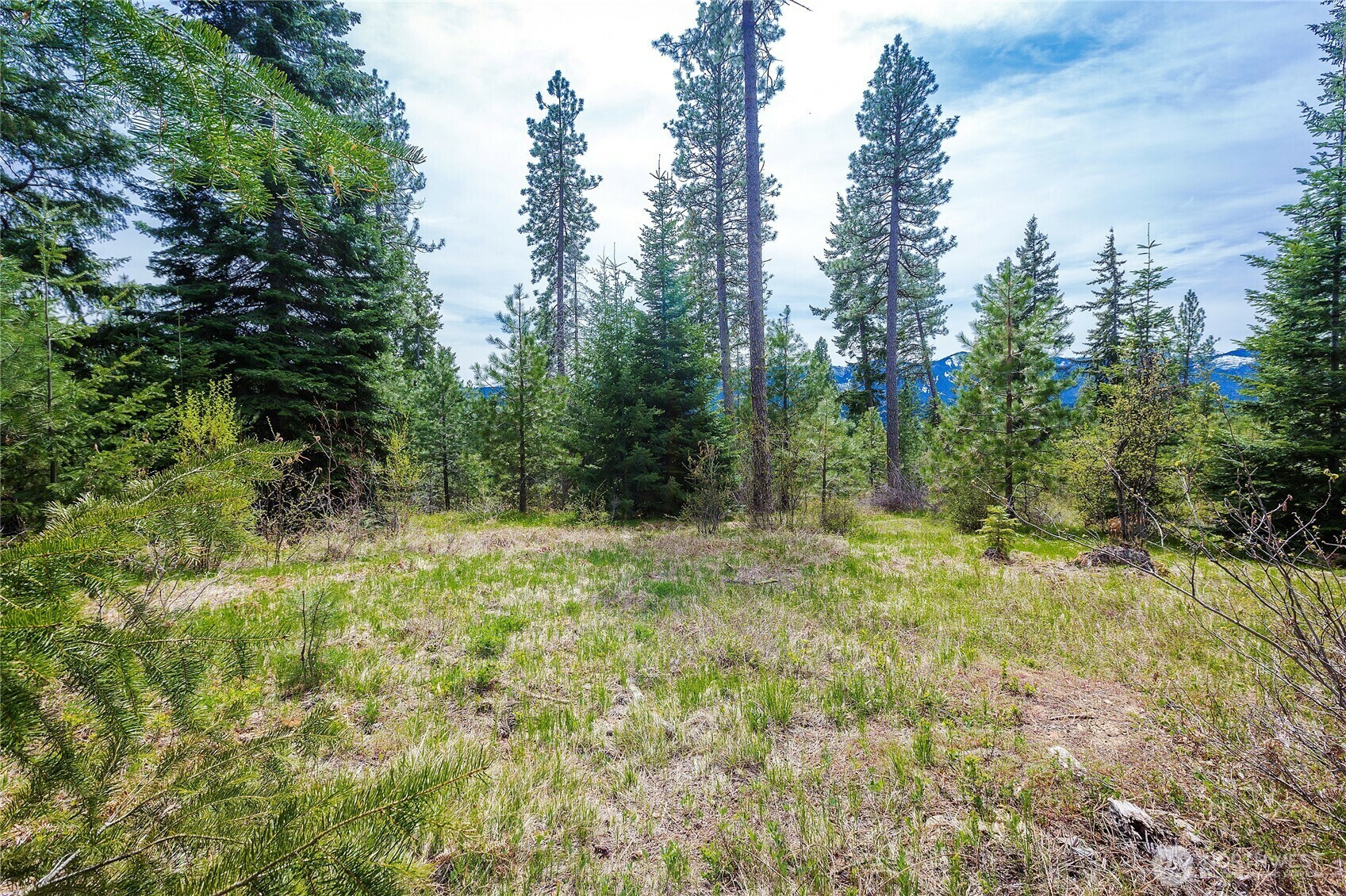 Property Photo: 0 Lot H R&R Heights Drive WA 98941
