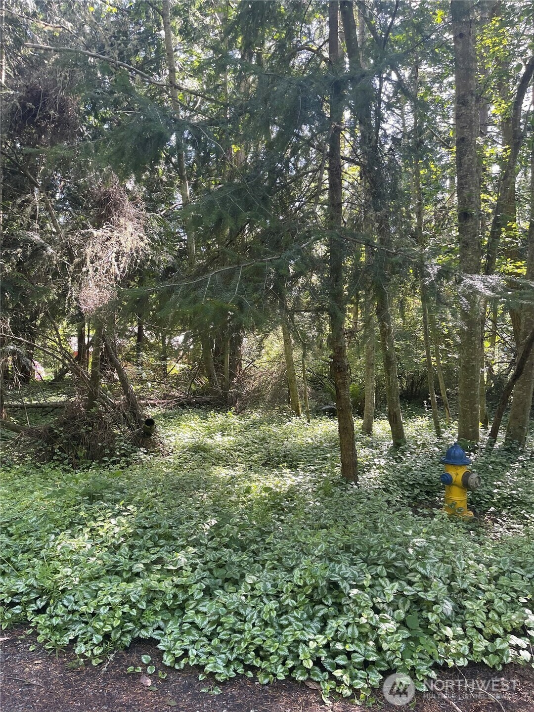 Property Photo: 1321 54th Street WA 98368