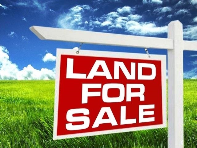 Property Photo: 6245 Hwy 105 TX 77708