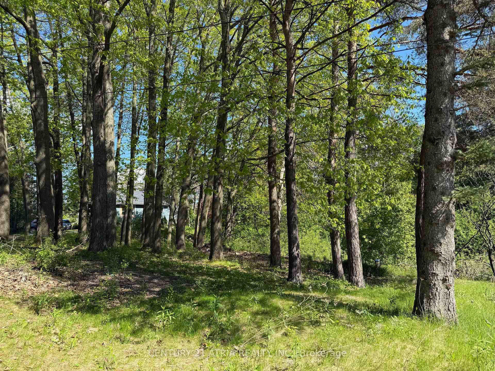 Property Photo: 14178 Yonge Street ON L4G 0P5