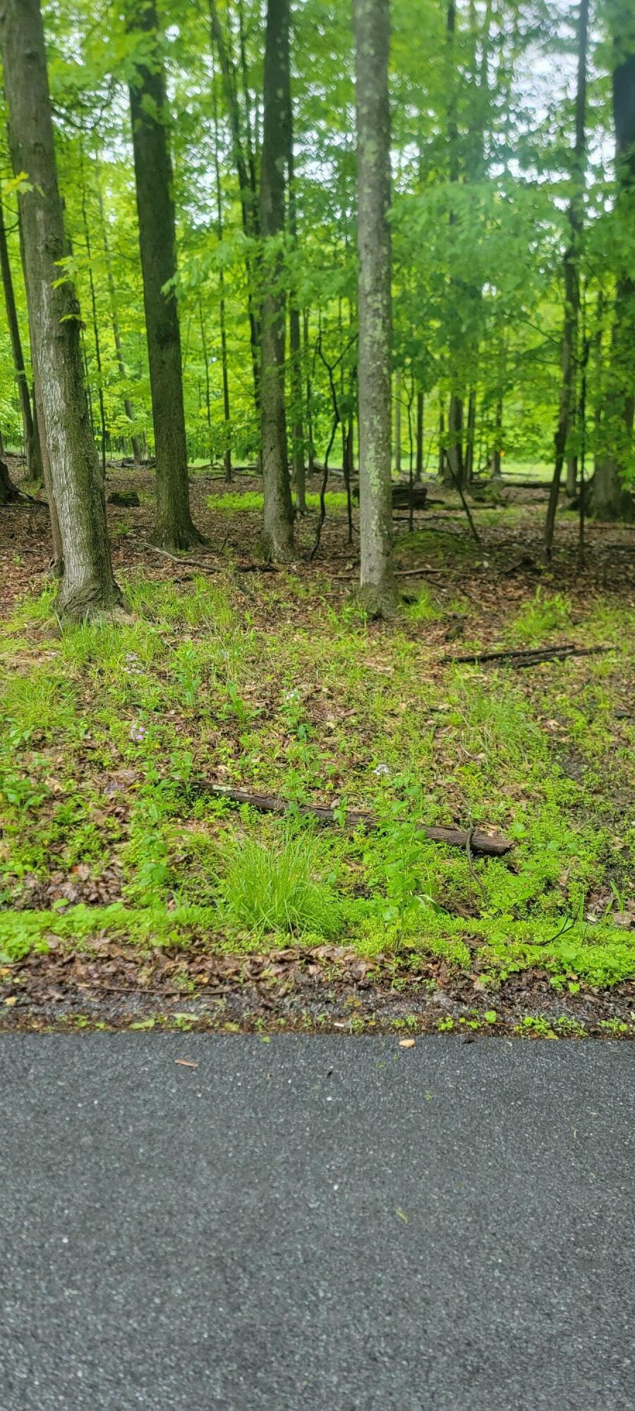 Property Photo: 10 Miramar Rd PA 15801