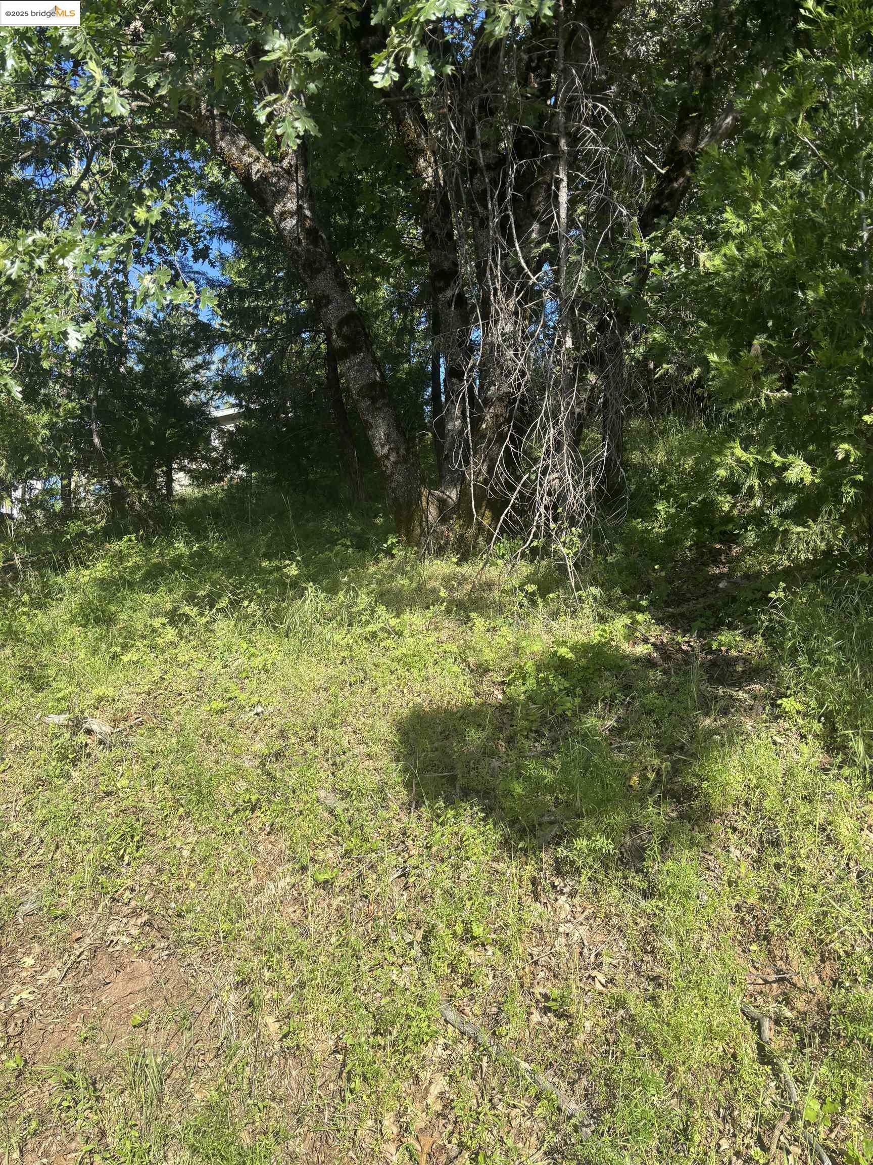 Property Photo: 00000 Eastview Dr CA 95379