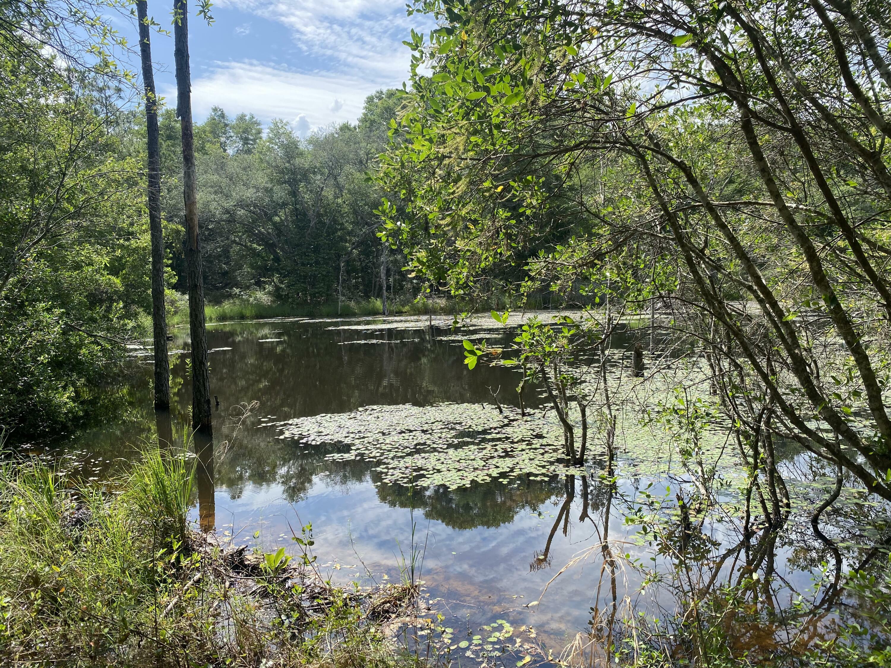 Property Photo: 20 Acres Canyon Trail FL 32531